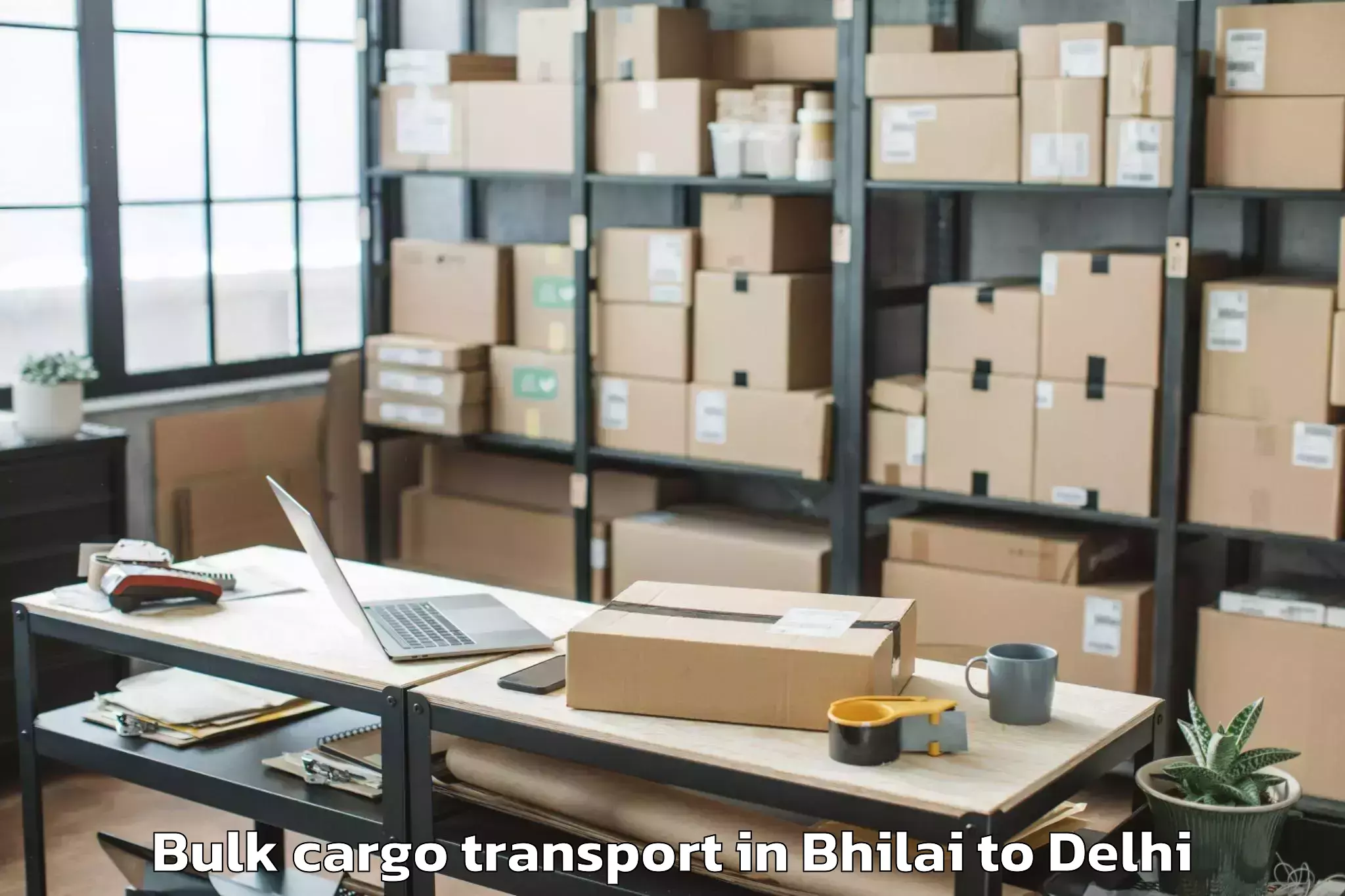 Professional Bhilai to Parsvnath Mall Akshardham Bulk Cargo Transport